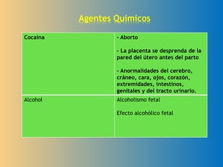 Cocaina - Aborto
- La placenta se desprenda de la
pared del útero antes del parto
- Anormalidades del cerebro,
cráneo, cara, ojos, corazón,
extremidades, intestinos,
genitales y del tracto urinario.
Alcohol Alcoholismo fetal
Efecto alcohólico fetal
Agentes Químicos
 