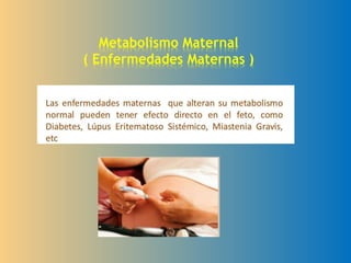 Metabolismo Maternal
( Enfermedades Maternas )
 