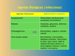 Agentes infecciosos Malformación congénita
Toxoplasmosis Hidrocefalia calcificaciones
cerebrales microftalmía
Rubéola Cataratas, glaucoma, defectos
cardiacos, sordera.
Citomegalovirus Microcefalia, ceguera, retardo
mental
Virus herpes simple Microftalmía, microcefalia,
displasia retiniana, infecciones
en piel, ojos y boca, daño al
sistema nervioso central y a
otros órganos internos, retardo
mental, o la muerte.
Agentes Biológicos ( Infecciosos)
 