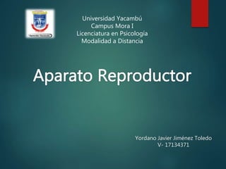 Universidad Yacambú
Campus Mora I
Licenciatura en Psicología
Modalidad a Distancia
Yordano Javier Jiménez Toledo
V- 17134371
 