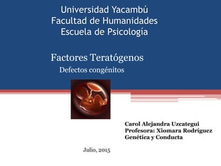 Universidad Yacambú
Facultad de Humanidades
Escuela de Psicología
Carol Alejandra Uzcategui
Profesora: Xiomara Rodríguez
Genética y Conducta
Julio, 2015
Factores Teratógenos
Defectos congénitos
 