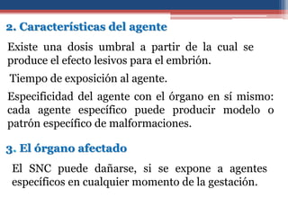 2. Características del agente
Existe una dosis umbral a partir de la cual se
produce el efecto lesivos para el embrión.
Tiempo de exposición al agente.
Especificidad del agente con el órgano en sí mismo:
cada agente específico puede producir modelo o
patrón específico de malformaciones.
3. El órgano afectado
El SNC puede dañarse, si se expone a agentes
específicos en cualquier momento de la gestación.
 