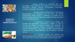 PRODUCTOS
QUÍMICOS Y
FARMACOLÓGICOS
_ ALCOHOL: puede producir el síndrome del feto
alcohólico, caracterizado por retardo en el crecimiento
intrauterino, retardo mental, microcefalia, anomalías
oculares, anomalías articulares.
_ ANTIBIÓTICOS: se sabe que la tetraciclina la membrana
placentaria y se deposita en los sitios de activa
calcificación fetal (huesos y dientes). La sordera se ha
identificado en niños nacidos de madres tratadas con altas
dosis de estreptomicina.
_Antineoplásicos: sustancias químicas que inhiben los
tumores son altamente teratógenos, debido a que su
función es inhibir la división celular. Por ejemplo, la
aminopterina produce muerte intrauterina durante el
período embrionario y los pocos nacidos vivos presentan
malformaciones, especialmente en el sistema nervioso
central.
_Tranquilizantes: un numeroso grupo de nacidos con
deformaciones en los miembros demostró dramáticamente
en los años '60, la acción teratogénica de la talidomida.
 