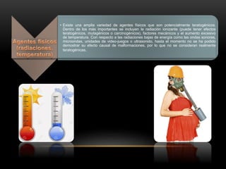 • Existe una amplia variedad de agentes físicos que son potencialmente teratogénicos.
Dentro de los más importantes se incluyen la radiación ionizante (puede tener efectos
teratogénicos, mutagénicos o carcinogénicos), factores mecánicos y el aumento excesivo
de temperatura. Con respecto a las radiaciones bajas de energía como las ondas sonoras,
microondas, unidades de video-juegos o ultrasonido, hasta el momento no se ha podido
demostrar su efecto causal de malformaciones, por lo que no se consideran realmente
teratogénicas.
 