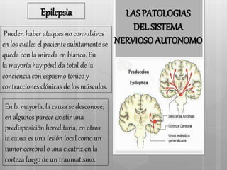 LAS PATOLOGIAS 
DEL SISTEMA 
NERVIOSO AUTONOMO 
Epilepsia 
Pueden haber ataques no convulsivos 
en los cuáles el paciente súbitamente se 
queda con la mirada en blanco. En 
la mayoría hay pérdida total de la 
conciencia con espasmo tónico y 
contracciones clónicas de los músculos. 
En la mayoría, la causa se desconoce; 
en algunos parece existir una 
predisposición hereditaria, en otros 
la causa es una lesión local como un 
tumor cerebral o una cicatriz en la 
corteza luego de un traumatismo. 
 