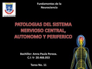 Fundamentos de la 
Neurociencia 
Bachiller: Anna Paula Peraza. 
C.I: V- 20.466.053 
Tarea No. 11 
 