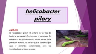 helicobacter
pilory
¿ QUÉ ES ?
El Helicobacter pylori (H. pylori) es un tipo de
bacteria que causa infecciones en el estómago. Se
encuentra, aproximadamente, en dos tercios de la
población mundial. Es posible que se transmita por
agua y alimentos contaminados, pero los
investigadores no están seguros.
 