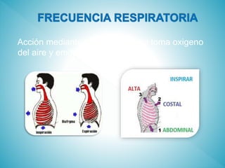 Acción mediante la cual el cuerpo toma oxigeno
del aire y emite bióxido de carbono.
 