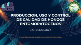 PRODUCCION, USO Y CONTROL
DE CALIDAD DE HONGOS
ENTOMOPATOGENOS
ELABORADO POR : VALERIA A. CUSILAYME ROMERO
BIOTECNOLOGÍA
 