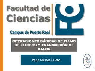 OPERACIONES BÁSICAS DE FLUJO DE FLUIDOS Y TRANSMISIÓN DE CALOR Pepa Muñoz Cueto 1 