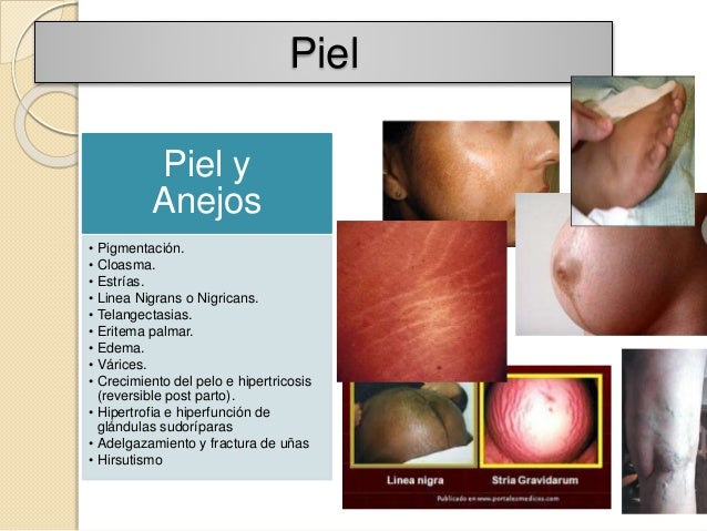 Tarea 16 jimr adaptacion materna al embarazo
