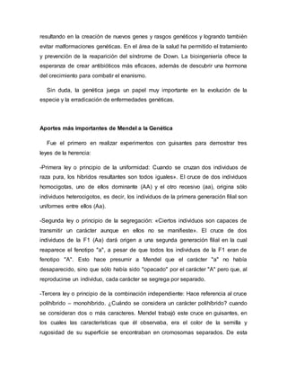 resultando en la creación de nuevos genes y rasgos genéticos y logrando también
evitar malformaciones genéticas. En el área de la salud ha permitido el tratamiento
y prevención de la reaparición del síndrome de Down. La bioingeniería ofrece la
esperanza de crear antibióticos más eficaces, además de descubrir una hormona
del crecimiento para combatir el enanismo.
Sin duda, la genética juega un papel muy importante en la evolución de la
especie y la erradicación de enfermedades genéticas.
Aportes más importantes de Mendel a la Genética
Fue el primero en realizar experimentos con guisantes para demostrar tres
leyes de la herencia:
-Primera ley o principio de la uniformidad: Cuando se cruzan dos individuos de
raza pura, los híbridos resultantes son todos iguales». El cruce de dos individuos
homocigotas, uno de ellos dominante (AA) y el otro recesivo (aa), origina sólo
individuos heterocigotos, es decir, los individuos de la primera generación filial son
uniformes entre ellos (Aa).
-Segunda ley o principio de la segregación: «Ciertos individuos son capaces de
transmitir un carácter aunque en ellos no se manifieste». El cruce de dos
individuos de la F1 (Aa) dará origen a una segunda generación filial en la cual
reaparece el fenotipo "a", a pesar de que todos los individuos de la F1 eran de
fenotipo "A". Esto hace presumir a Mendel que el carácter "a" no había
desaparecido, sino que sólo había sido "opacado" por el carácter "A" pero que, al
reproducirse un individuo, cada carácter se segrega por separado.
-Tercera ley o principio de la combinación independiente: Hace referencia al cruce
polihíbrido – monohíbrido. ¿Cuándo se considera un carácter polihíbrido? cuando
se consideran dos o más caracteres. Mendel trabajó este cruce en guisantes, en
los cuales las características que él observaba, era el color de la semilla y
rugosidad de su superficie se encontraban en cromosomas separados. De esta
 