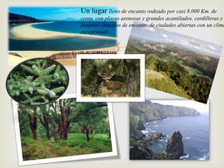 Un lugar lleno de encanto rodeado por casi 8.000 Km. de
costa, con playas arenosas y grandes acantilados, cordilleras y
bosques cargados de encanto, de ciudades abiertas con un clima
excepcional.


          
 