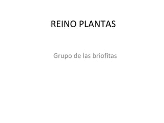 REINO PLANTAS


Grupo de las briofitas
 