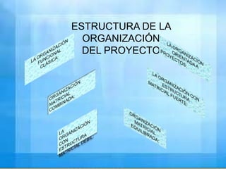 ESTRUCTURA DE LA
ORGANIZACIÓN
DEL PROYECTO

 