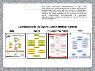 Con estos organismos administrativos se logra una
distribución más justa de las tierras rurales y aumentar la
productividad del sector agrario, eliminar el latifundio,
mejorar el uso de la tierra evitando la acumulación o
tenencia de tierras ociosas que no cumplan una función
social determinada, principalmente la seguridad
agroalimentaria. según lo establece la ley de Tierras y
Desarrollo Agrario.
INTI INDER FUNDACION CIARA CVG
Organigramas de los Órganos Administrativos Agrarios
 