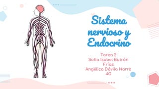 Sistema
nervioso y
Endocrino
Tarea 2
Sofia Isabel Butrón
Frías
Angélica Dávila Narro
4G
 
