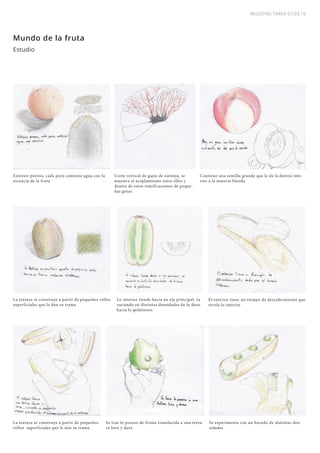 REGISTRO TAREA 07.03,16
Mundo de la fruta
Exterior poroso, cada poro contiene agua con la
escencia de la fruta
Corte vertical de gajos de naranja, se
muestra al acoplamiento entre ellos y
dentro de estos ramificaciones de peque-
ñas gotas
Contiene una semilla grande que le da la dureza inte-
rior a la materia blanda
La textura se construye a partir de pequeños vellos
superficiales que le dan su trama
Lo interior tiende hacia un eje principal, va
variando en distintas densidades de lo duro
hacia lo gelatinoso
El exterior tiene un tiempo de descubrimiento que
revela lo interior
Estudio
La textura se construye a partir de pequeños
vellos superficiales que le dan su trama
Se trae lo poroso de froma translucida a una textu-
ra lista y dura
Se experimenta con un bocado de distintas den-
sidades
 