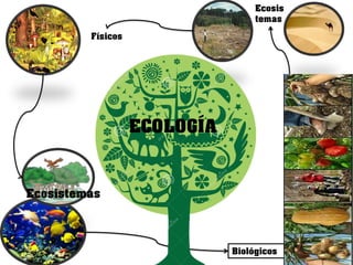 Biológicos 
Físicos 
Ecosistemas 
Ecosistemas 
ECOLOGÍA 