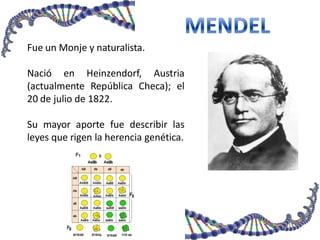 Fue un Monje y naturalista.
Nació en Heinzendorf, Austria
(actualmente República Checa); el
20 de julio de 1822.
Su mayor aporte fue describir las
leyes que rigen la herencia genética.
 