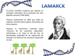 El primer científico moderno que elaboró un
concepto sistemático de la evolución fue Jean
Baptiste Lamarck (1744-1829).
Propuso audazmente en 1801 que todas las
especies, incluido Homo sapiens, descienden de
otras especies.
Propuso el mecanismo conocido como
“herencia de los caracteres adquiridos”,
refiriéndose a la, hasta el día de hoy no
demostrada, capacidad de los organismos de
trasladar a la herencia los caracteres adquiridos
en vida.
 