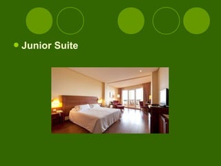  Junior   Suite
 