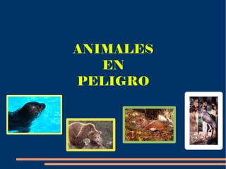 ANIMALES
   EN
PELIGRO
 