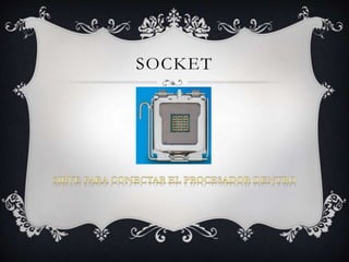 SOCKET 
 