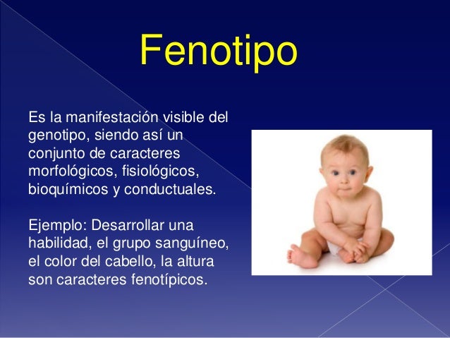 Tarea 2