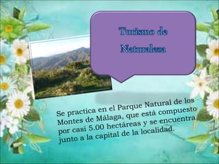 Se practica en el Parque Natural de los
Montes de Málaga, que está compuesto
por casi 5.00 hectáreas y se encuentra
junto a la capital de la localidad.
 