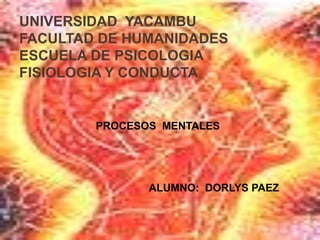UNIVERSIDAD YACAMBU
FACULTAD DE HUMANIDADES
ESCUELA DE PSICOLOGIA
FISIOLOGIA Y CONDUCTA
PROCESOS MENTALES
ALUMNO: DORLYS PAEZ
 