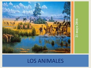 LOS ANIMALES
21mayo2016
 