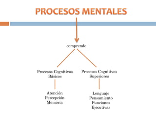 comprende
Procesos Cognitivos
Básicos
Procesos Cognitivos
Superiores
Atención
Percepción
Memoria
Lenguaje
Pensamiento
Funciones
Ejecutivas
 