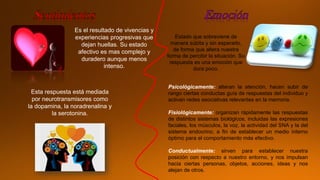 Psicológicamente: alteran la atención, hacen subir de
rango ciertas conductas guía de respuestas del individuo y
activan redes asociativas relevantes en la memoria.
Fisiológicamente: organizan rápidamente las respuestas
de distintos sistemas biológicos, incluidas las expresiones
faciales, los músculos, la voz, la actividad del SNA y la del
sistema endocrino, a fin de establecer un medio interno
óptimo para el comportamiento más efectivo.
Conductualmente: sirven para establecer nuestra
posición con respecto a nuestro entorno, y nos impulsan
hacia ciertas personas, objetos, acciones, ideas y nos
alejan de otros.
Es el resultado de vivencias y
experiencias progresivas que
dejan huellas. Su estado
afectivo es mas complejo y
duradero aunque menos
intenso.
Estado que sobreviene de
manera súbita y sin esperarlo,
de forma que altera nuestra
forma de percibir la situación. Su
respuesta es una emoción que
dura poco.
Esta respuesta está mediada
por neurotransmisores como
la dopamina, la noradrenalina y
la serotonina.
 