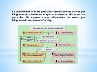 Líquidos y Electrolitos Corporales | PPTX