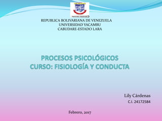 Lily Cárdenas
C.I. 24172584
REPUBLICA BOLIVARIANA DE VENEZUELA
UNIVERSIDAD YACAMBU
CABUDARE-ESTADO LARA
Febrero, 2017
 