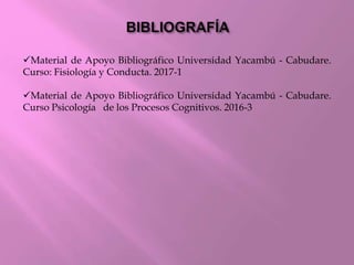 Material de Apoyo Bibliográfico Universidad Yacambú - Cabudare.
Curso: Fisiología y Conducta. 2017-1
Material de Apoyo Bibliográfico Universidad Yacambú - Cabudare.
Curso Psicología de los Procesos Cognitivos. 2016-3
 