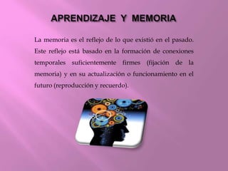 La memoria es el reflejo de lo que existió en el pasado.
Este reflejo está basado en la formación de conexiones
temporales suficientemente firmes (fijación de la
memoria) y en su actualización o funcionamiento en el
futuro (reproducción y recuerdo).
 