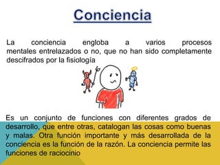 La conciencia engloba a varios procesos
mentales entrelazados o no, que no han sido completamente
descifrados por la fisiología
Es un conjunto de funciones con diferentes grados de
desarrollo, que entre otras, catalogan las cosas como buenas
y malas. Otra función importante y más desarrollada de la
conciencia es la función de la razón. La conciencia permite las
funciones de raciocinio
 