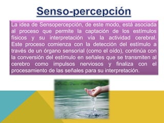 La idea de Sensopercepción, de este modo, está asociada
al proceso que permite la captación de los estímulos
físicos y su interpretación vía la actividad cerebral.
Este proceso comienza con la detección del estímulo a
través de un órgano sensorial (como el oído), continúa con
la conversión del estímulo en señales que se transmiten al
cerebro como impulsos nerviosos y finaliza con el
procesamiento de las señales para su interpretación.
 