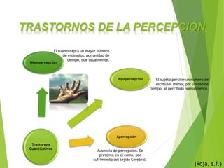 TRASTORNOS DE LA PERCEPCIÓN
(Roja, s.f.)
Trastornos
Cuantitativos
Hiperpercepción
Hipopercepción
Apercepción
El sujeto capta un mayor número
de estímulos, por unidad de
tiempo, que usualmente.
El sujeto percibe un número de
estímulos menor, por unidad de
tiempo, al percibido normalmente.
Ausencia de percepción. Se
presenta en el coma, por
sufrimiento del tejido Cerebral.
 
