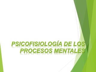 PSICOFISIOLOGÍA DE LOS
PROCESOS MENTALES
 