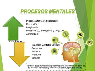 PROCESOS MENTALES
Procesos Mentales Superiores:
Percepción
Imaginación
Pensamiento, inteligencia y lenguaje
Aprendizaje
Procesos Mentales Básicos:
Sensación
Memoria
Atención
Emoción
Permiten al ser humano incorporar mediante los sentidos los datos de
su realidad, percibirlos y almacenarlos para luego darles sentido…
Clasificación
 