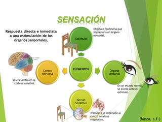 SENSACIÓN
ELEMENTOS
Estímulo
Órgano
sensorial
Nervio
Sensitivo
Centro
nervioso
(Meza, s.f.)
Objeto o fenómeno que
impresiona un órgano
sensorial.
En un estado normal,
se excita ante el
estímulo.
Se encuentra en la
corteza cerebral.
Respuesta directa e inmediata
a una estimulación de los
órganos sensoriales.
Transmite la impresión al
centro nervioso
respectivo.
 