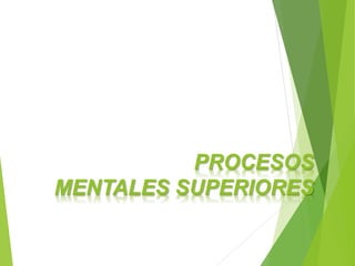 PROCESOS
MENTALES SUPERIORES
 