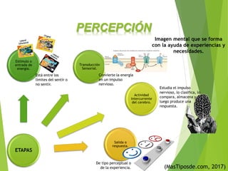 PERCEPCIÓN
(MasTiposde.com, 2017)
ETAPAS
Estímulo o
entrada de
energia.
Transducción
Sensorial.
Actividad
intercurrente
del cerebro.
Salida o
respuesta.
Está entre los
límites del sentir o
no sentir.
Estudia el impulso
nervioso, lo clasifica, lo
compara, almacena y
luego produce una
respuesta.
De tipo perceptual o
de la experiencia.
Convierte la energía
en un impulso
nervioso.
Imagen mental que se forma
con la ayuda de experiencias y
necesidades.
 