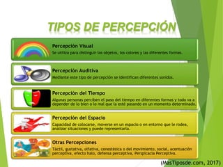 TIPOS DE PERCEPCIÓN
(MasTiposde.com, 2017)
Percepción Visual
Se utiliza para distinguir los objetos, los colores y las diferentes formas.
Percepción Auditiva
Mediante este tipo de percepción se identifican diferentes sonidos.
Percepción del Tiempo
Algunas personas perciben el paso del tiempo en diferentes formas y todo va a
depender de lo bien o lo mal que la esté pasando en un momento determinado.
Percepción del Espacio
Capacidad de colocarse, moverse en un espacio o en entorno que le rodea,
analizar situaciones y puede representarla.
Otras Percepciones
Táctil, gustativa, olfativa, cenestésica o del movimiento, social, acentuación
perceptiva, efecto halo, defensa perceptiva, Perspicacia Perceptiva.
 