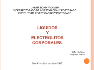 UNIVERSIDAD YACAMBÚ
VICERRECTORADO DE INVESTIGACIÓN Y POSTGRADO
INSTITUTO DE INVESTIGACIÓN Y POSTGRADO
 