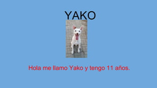 YAKO
Hola me llamo Yako y tengo 11 años.
 