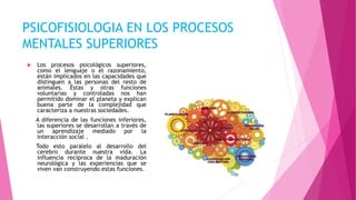 PSICOFISIOLOGIA EN LOS PROCESOS
MENTALES SUPERIORES
 Los procesos psicológicos superiores,
como el lenguaje o el razonamiento,
están implicados en las capacidades que
distinguen a las personas del resto de
animales. Éstas y otras funciones
voluntarias y controladas nos han
permitido dominar el planeta y explican
buena parte de la complejidad que
caracteriza a nuestras sociedades.
A diferencia de las funciones inferiores,
las superiores se desarrollan a través de
un aprendizaje mediado por la
interacción social .
Todo esto paralelo al desarrollo del
cerebro durante nuestra vida. La
influencia reciproca de la maduración
neurológica y las experiencias que se
viven van construyendo estas funciones.
 